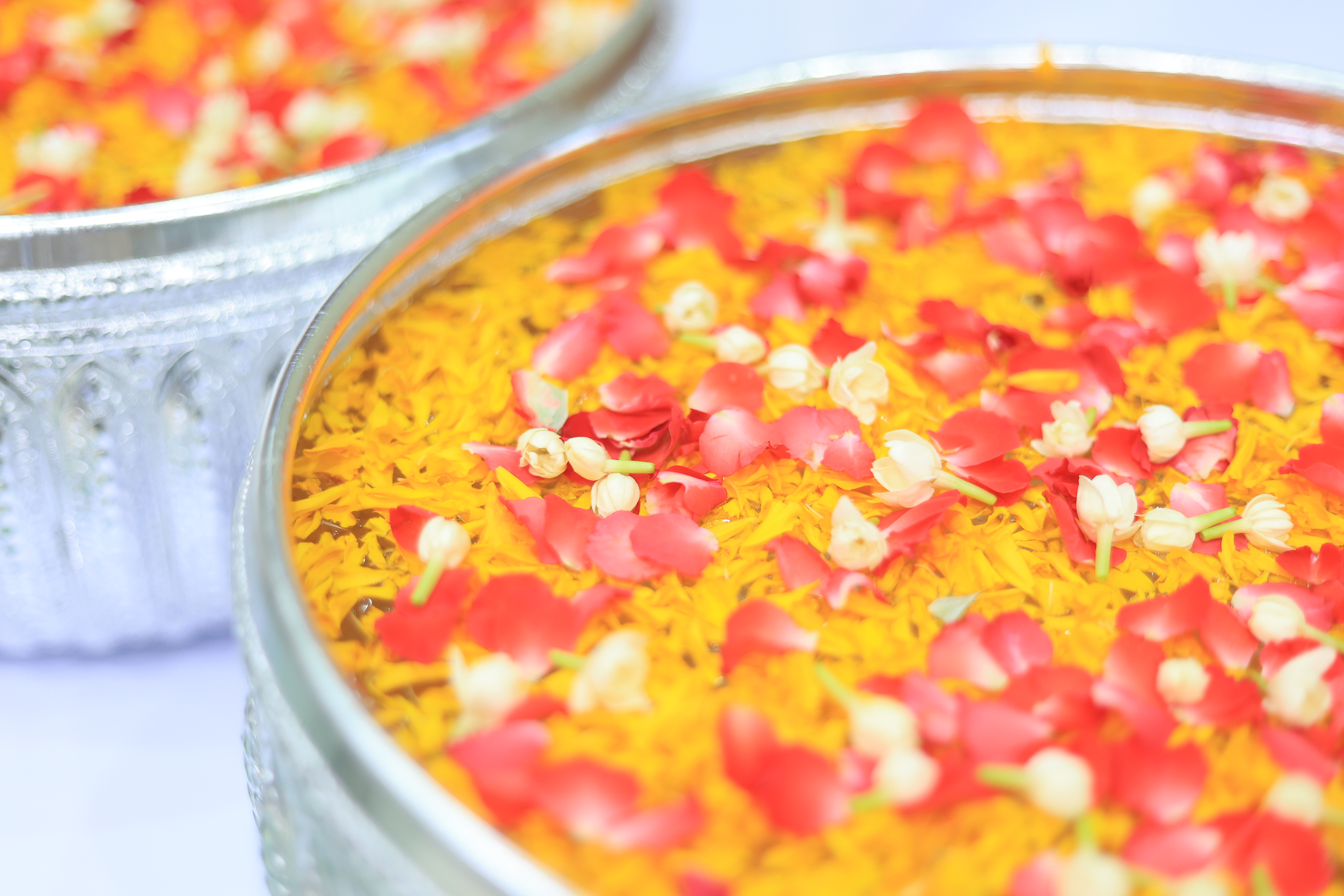 title - ชุ่มฉ่ำ! ชาว ส.ป.ก. ร่วมสรงน้ำพระพุทธรูป และรดน้ำขอพรผู้บริหาร เนื่องในประเพณีวันสงกรานต์ ประจำปี 2569 บรรยากาศเต็มไปด้วยความชื่นมื่นชุ่มฉ่ำ